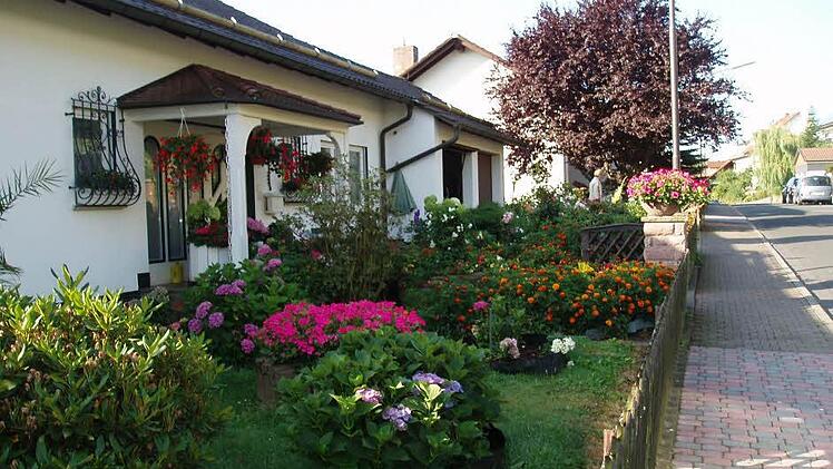 Der Vorgarten von Margarete und Lothar Feuerstein in der Konrad-Zirkel-Straße ist den ganzen Sommer über ein echter Blickfang.