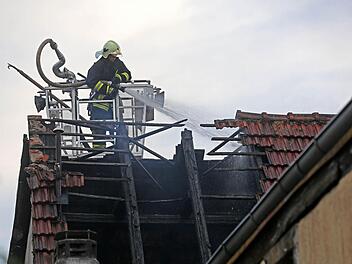 Foto: News5 / Herse
