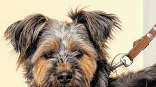 Gem&uuml;tliche Mary