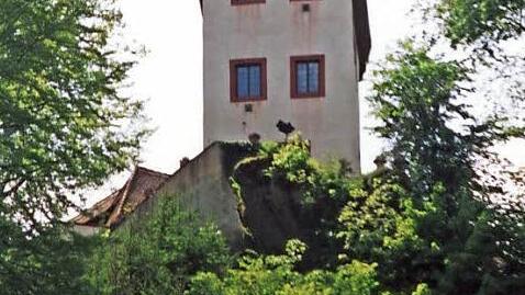 Burg Gaillenreuth, vom Wiesenttal aus gesehen Fotos: Reinhard Löwisch