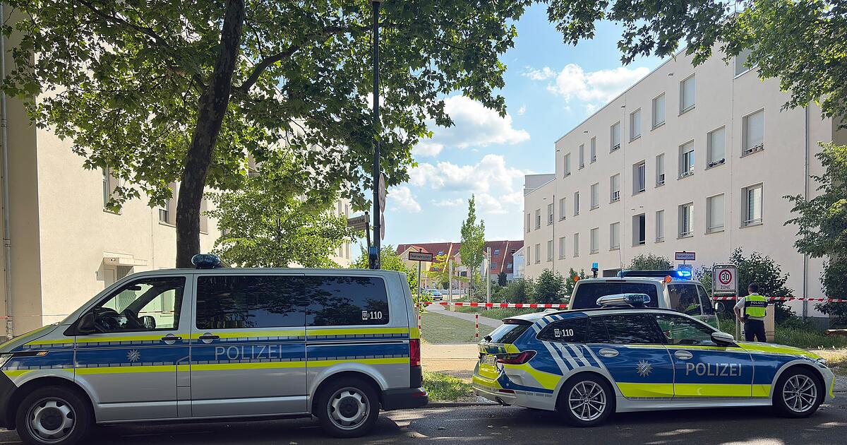 SEK-Einsatz in Aschaffenburg: Mann bedroht Nachbar mit Waffe - Festnahme