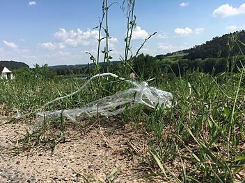 Verloren oder  weggeworfen? Egal, am Straßenrand, nahe einer landwirtschaftlich genutzten Fläche, hat dieser Plastikfetzen jedenfalls nichts verloren. Foto: Anette Schreiber