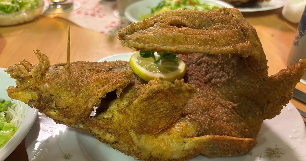 Carp season has started - | the best restaurants in Franconia