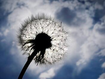 Sch&ouml;nes Wetter? Pustekuchen! Wobei: Immerhin der Sonntag wird freundlich und trocken. F&uuml;r den 1. Mai sieht es aber nicht so gut aus. Foto: Martin Gerten/dpa