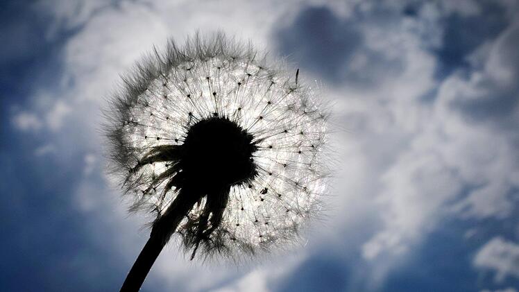 Sch&ouml;nes Wetter? Pustekuchen! Wobei: Immerhin der Sonntag wird freundlich und trocken. F&uuml;r den 1. Mai sieht es aber nicht so gut aus. Foto: Martin Gerten/dpa