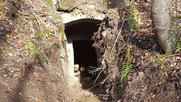 In einem der vielen Felsenkeller, die sich auf dem Verbindungsweg zwischen Tannfeld (Markt Thurnau) und Neustädtlein (Gemeinde Eckersdorf) befinden, wurde das Skelett entdeckt. Foto: Alexander Hartmann