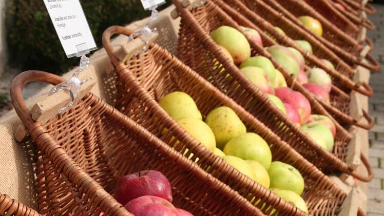 Viele verschiedene Apfelsorten werden im Angebot sein. Kreisverband f&uuml;r Gartenbau und Landespflege Bamberg