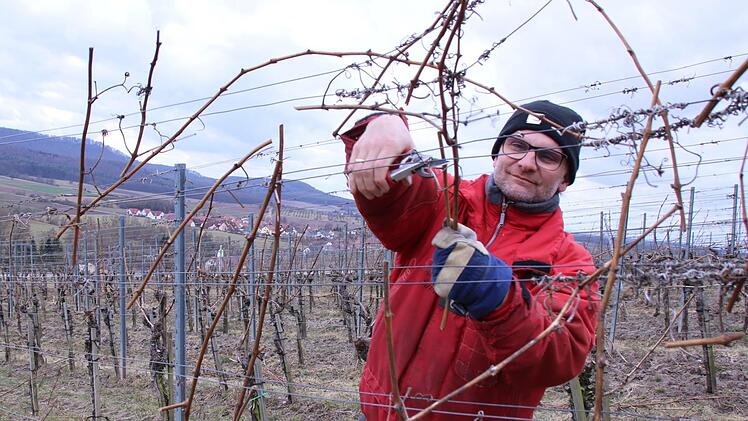 Winzer Oliver Gottschalk aus Sand arbeitet in seinem Weinberg im Oberschwappacher Sommertal.  Foto: Jennifer Brechtelsbauer