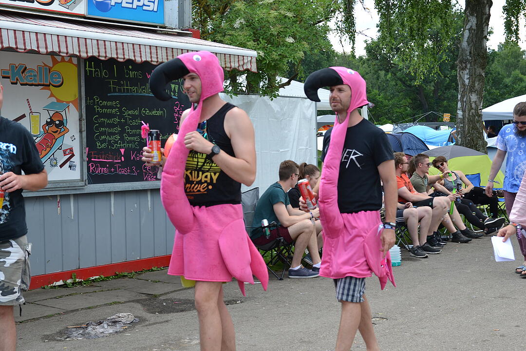 Die Besucher bei Rock im Park 2018 am Freitagnachmittag
