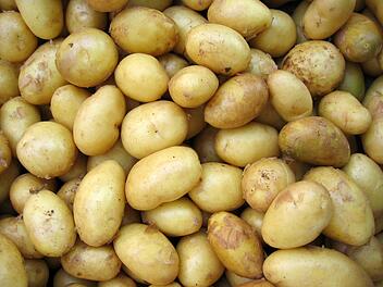 Landwirt aus Unterfanken bleibt auf 400 Tonnen Kartoffeln sitzen