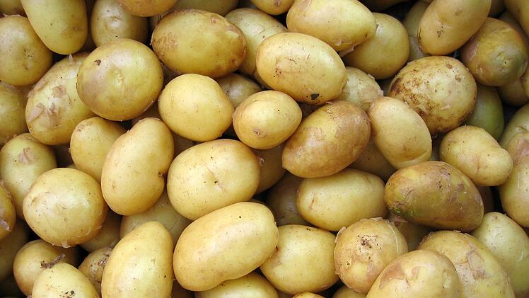 Landwirt aus Unterfanken bleibt auf 400 Tonnen Kartoffeln sitzen