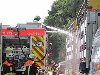 Nicht zum Löschen eines Brandes oder zur Bergung von Unfallopfer, sondern zum Tränken und Kühlen von 110 Schlachtschweinen und 350 Ferkeln ist die Bad Brückenauer Feuerwehr am Freitag auf die Autobahn gefahren. Foto: Polizei