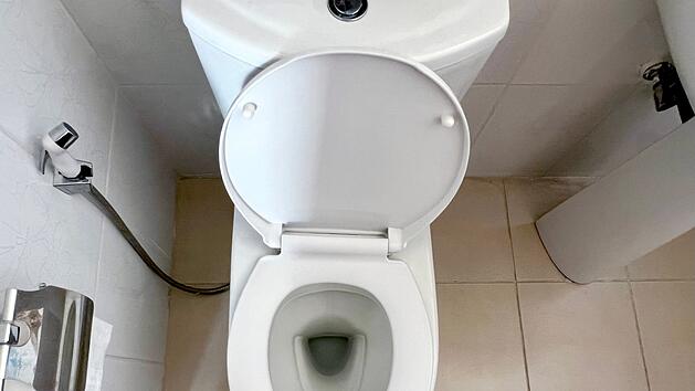 Schwarze Würmer in der Toilette: So wirst du sie schnell los