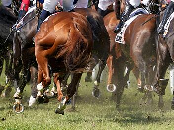Galopp-Rennen in Hamburg-Horn