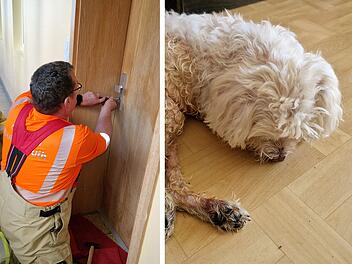 Bubenreuth: Feuerwehr befreit Hund aus Wohnung - Besitzer waren im Urlaub