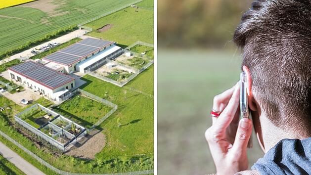 Mann terrorisiert Tierheim Haßberge mit widerlichen Anrufen - "man zuckt zusammen"