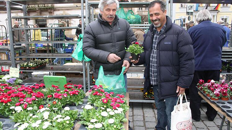 Mahmoud Alissa kauft Gänseblümchen für die Fensterbretter seiner neuen Wohnung - der Marktbummel macht dem Syrer Riesenspaß. Foto: Sonja Adam