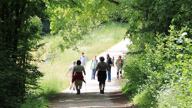 Durch den Maiwald wandern - wie hier von Dittersbrunn zum Veitsberg - ist heute wohl bei vielen Menschen angesagt. Foto: Matthias Einwag