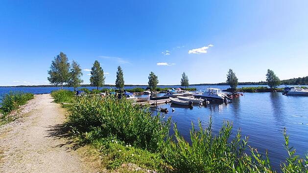 Urlaub, Wandern, Reise, Natur, Naturpark, Lüneburg, Lüneburger Heide, Heide, Hamburg, Hannover, Bremen, Erlebnis