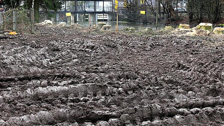 Der Uferstreifen neben der Wiesent in Ebermannstadt ist derzeit eine einzige Schlamm-Wüste.  Fotos: Christian Kiehr