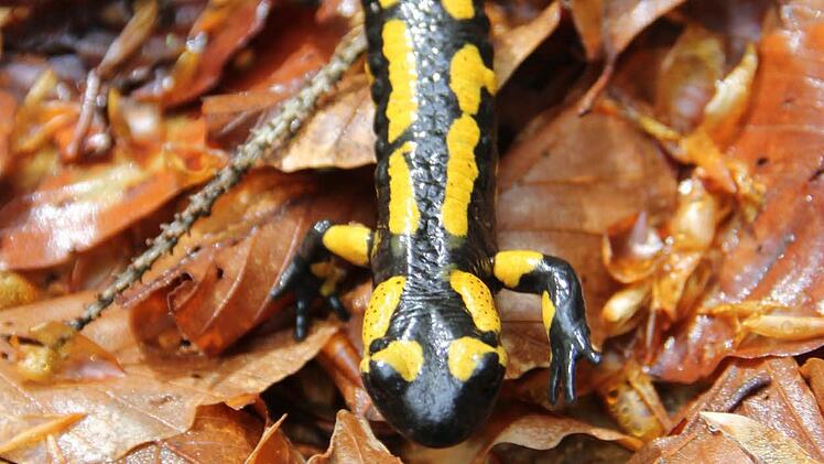 Selber "So!". Ich hau ab.