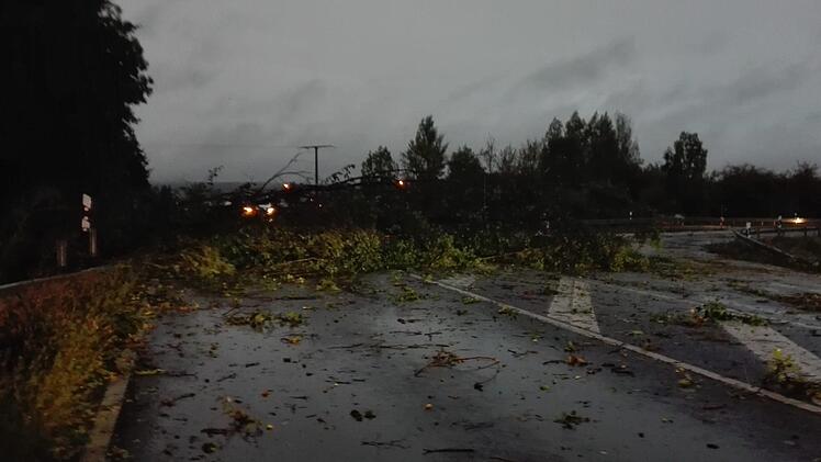 Ein Baum stürzte am Sonntagabend auf der Staatsstraße zwischen Neunkirchen am Brand und Dormitz. Foto: rm