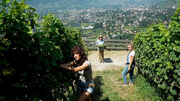 Auch im neuen Film wird die Region um Bozen wieder pittoresk in Szene gesetzt. Neben der imposanten Bergwelt stellen auch die idyllischen Weinberge sehenswerte Kulissen dar. Zwischen Jung-Winzerin Laura (Charleen Deetz, rechts) und ihrer Oma Katharina (Lisa Kreuzer, hinten) geht es weniger friedlich zu. Sonderermittlerin Mariella Colombo (Gabriela Garc&iacute;a-Vargas) ist diesmal nur zu Besuch in Bozen und hilft den beiden bei der Weinlese.