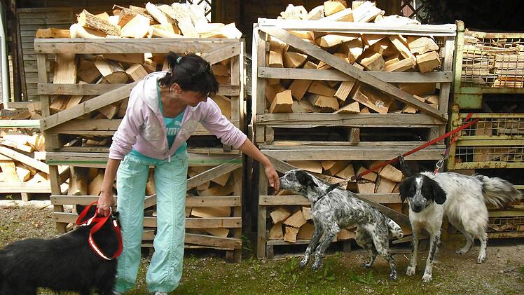 Im rumänischen Gherla kümmert sich Norica Prigoana um Straßenhunde. Foto: Privat