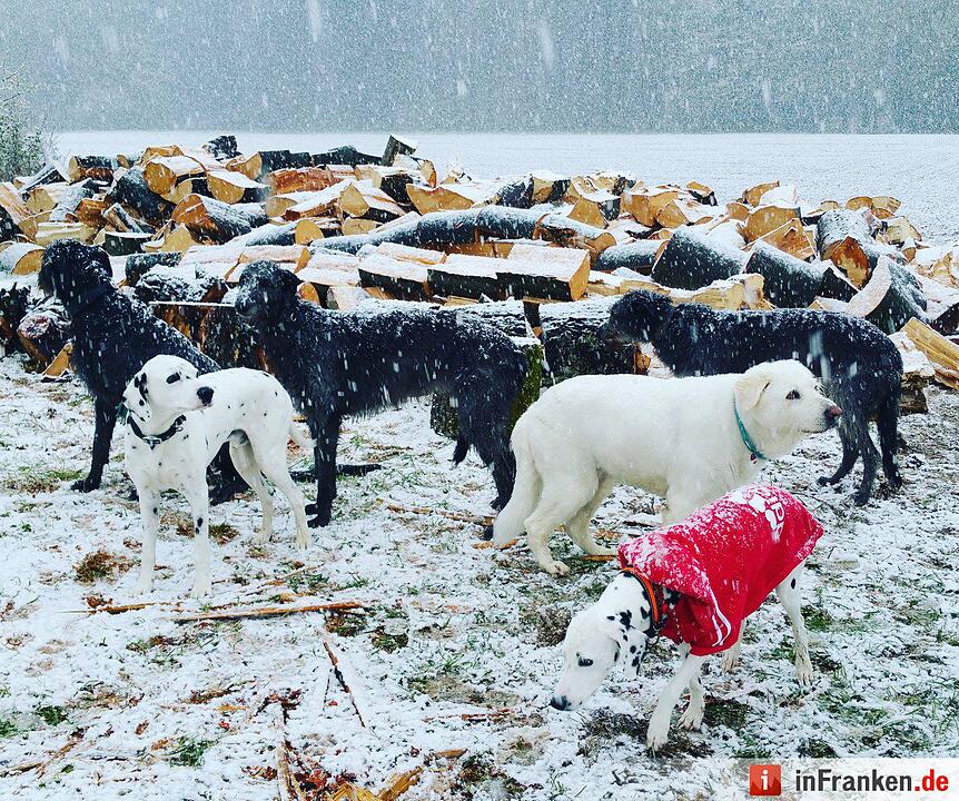 Franken: Ostermontag versinkt im Schnee