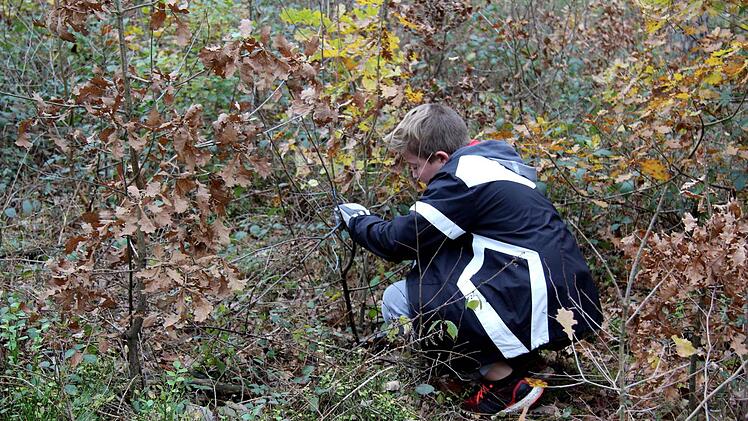 Realschüler bei der Waldarbeit Richard Sänger