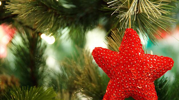 Würzburg: Umweltstation lädt zu Kreativ-Weihnachtsmarkt ein - mit nachhaltigen Aspekten