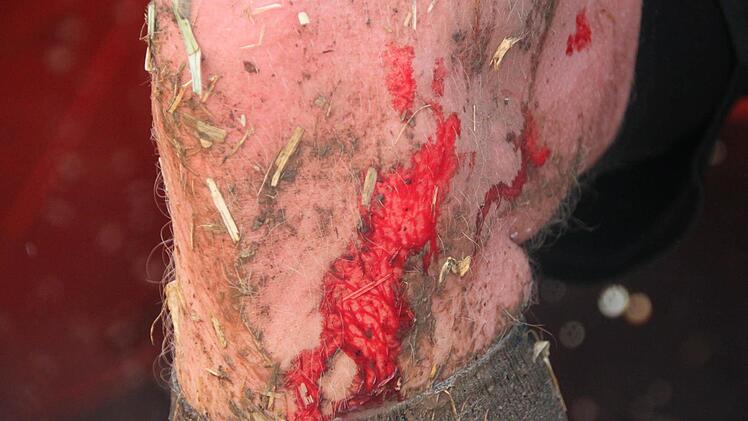 Braveheart Battle Foto: Heike Beudert