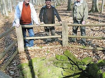 Klaus Freter (links) und Heinz Sauer (Mitte) vom Haßbergverein Altershausen haben vor einiger Zeit eine Wolfsgrube gesäubert. Rechts steht Rudi Bätz, Kultur- und Naturschutzwart im Haßbergverein Königsberg. Drei Wolfsgruben sind Teil eines neuen Wanderwegs.  Foto: Gerold Snater