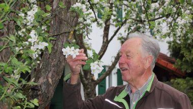 F&uuml;r den Tag der offenen T&uuml;r hat er extra die reifen Kirschen nicht geleert und lud die Besucher ein, davon zu kosten. Foto: Alexandra Kemnitzer