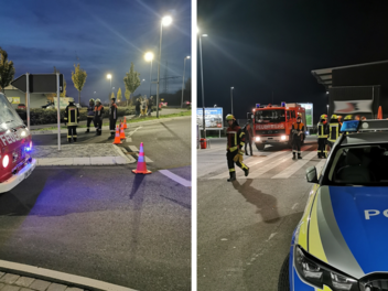 Euerbach: Rewe wegen Bananenspinne geschlossen