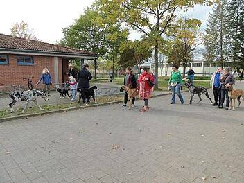Im Oktober 2019 fand in der Aischgrundhalle in Adelsdorf erstmals ein "Hundetag" statt. Hier wurde erörtert, wie das Miteinander zwischen Hundehaltern und Bürgern ohne Vierbeiner verbessert werden kann.  Foto: Britta Schnake/Archiv