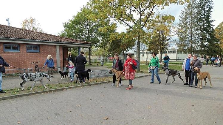 Im Oktober 2019 fand in der Aischgrundhalle in Adelsdorf erstmals ein "Hundetag" statt. Hier wurde erörtert, wie das Miteinander zwischen Hundehaltern und Bürgern ohne Vierbeiner verbessert werden kann.  Foto: Britta Schnake/Archiv