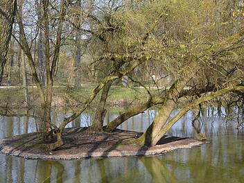 Die Schwaneninsel im See des Parks Rosenau wurde hergerichtet. Dabei verschwand das alte Häuschen. Foto: Rainer Lutz