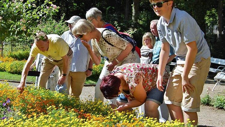 Anfassen, riechen und schmecken durften die Gäste so manche Pflanze bei der Kurgartenführung in Bad Bocklet. Foto: Von Dobschütz