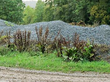 Das Landratsamt Forchheim sowie die Gemeinden Igensdorf und Weißenohe wollen herausfinden, wer an der Grenze der beiden Gemeinde wild Asphaltfräsgut abgelagert hat. Foto: Petra Malbrich