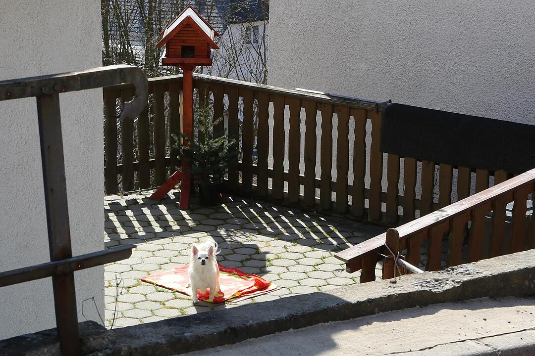 SoS Wilhemsthal Landkreis KC; Foto: Barbara Herbst