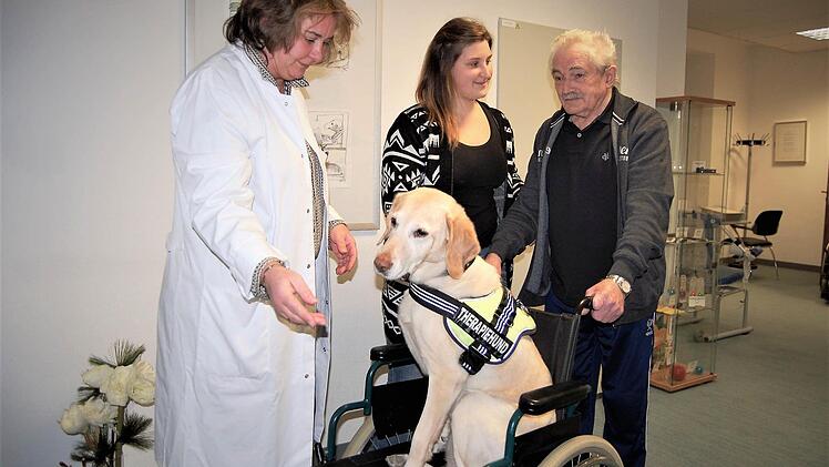 Patient Pius Amend (79) übt mit Therapiehündin Fine das Laufen; mit dabei sind Chefärztin Evelyn Müller-Bödefeld und Ergotherapeutin Lisa Gerlach. Fotos: Sigismund von Dobschütz