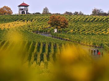 Weinberge der Weinlage Sommeracher Katzenkopf: Das unterfränkische Dorf Sommerach  wurde  2013 auf Landes-  und   Bundesebene mit Gold ausgezeichnet. Foto: Karl-Josef Hildenbrand/dpa