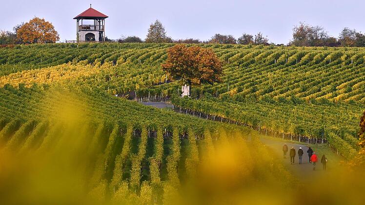 Weinberge der Weinlage Sommeracher Katzenkopf: Das unterfränkische Dorf Sommerach  wurde  2013 auf Landes-  und   Bundesebene mit Gold ausgezeichnet. Foto: Karl-Josef Hildenbrand/dpa