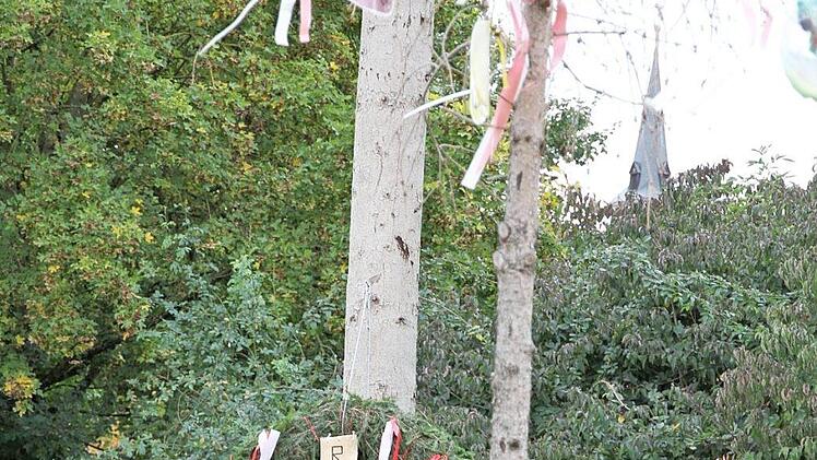 Der geschmückte Kranz mit dem Kreuz, der an den Kirchweihbaum vom Vorjahr genagelt wurde Foto: erl