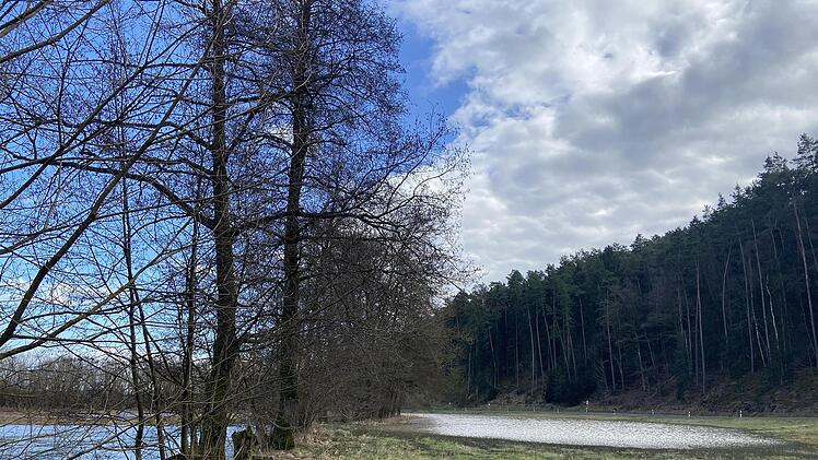 In Fürth am Berg trat die Steinach über die Ufer. - Foto: Cindy Dötschel