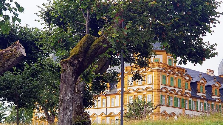 Memmelsdorf: Ma&szlig;nahme zur Sicherung historischer Linden am Schloss Seehof abgeschlossen