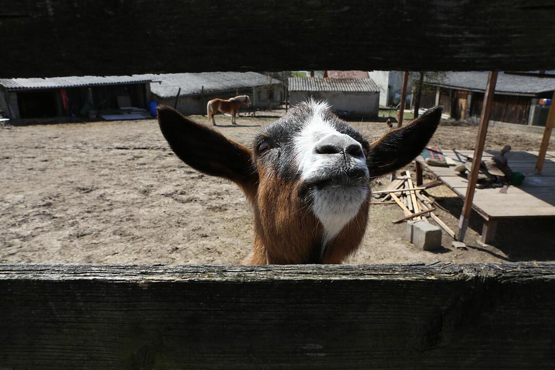 SoS Buchfeld im Lkr. H?chstadt; Foto: Barbara Herbst