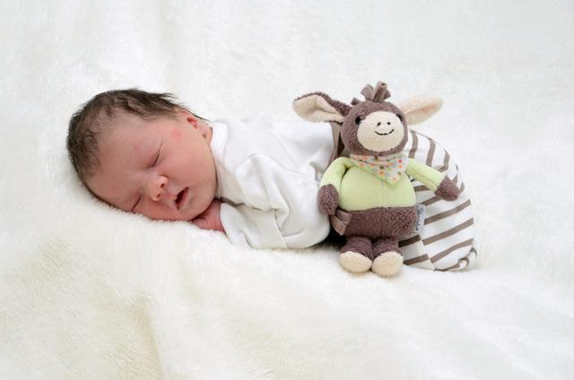 Babygalerie Forchheim