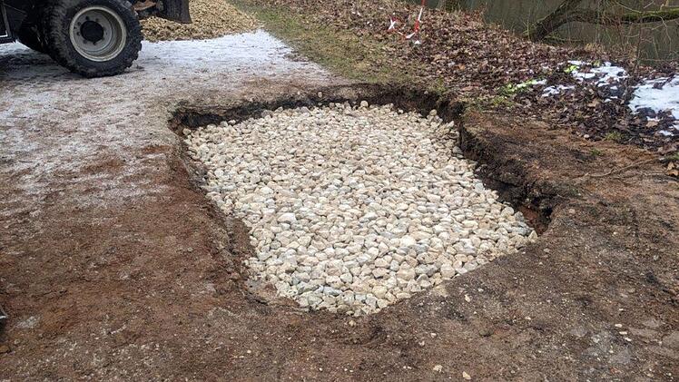 Bamberg: Biber h&ouml;hlt Uferweg im Hain aus - "kleines Loch" entpuppt sich als langer Gang